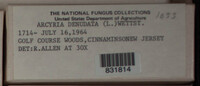 Image Associated With the Occurence
